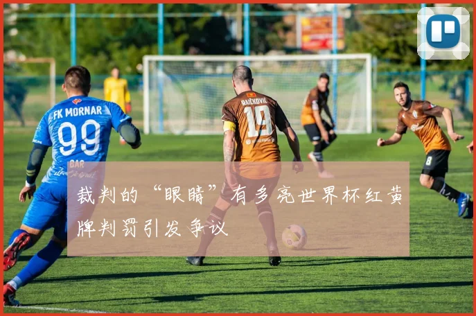 裁判的“眼睛”有多亮世界杯红黄牌判罚引发争议