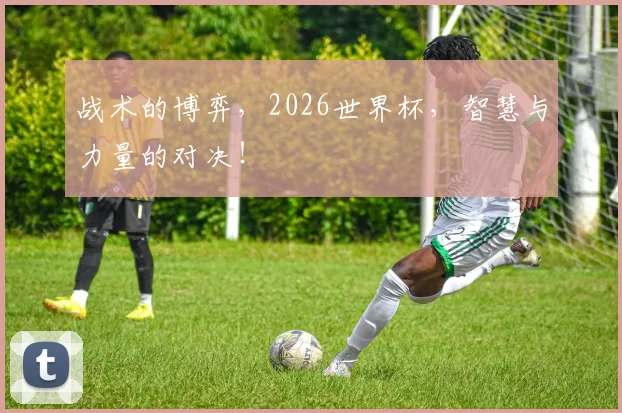 战术的博弈，2026世界杯，智慧与力量的对决！