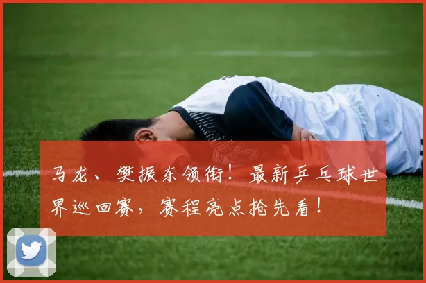 马龙、樊振东领衔!最新乒乓球世界巡回赛,赛程亮点抢先看!